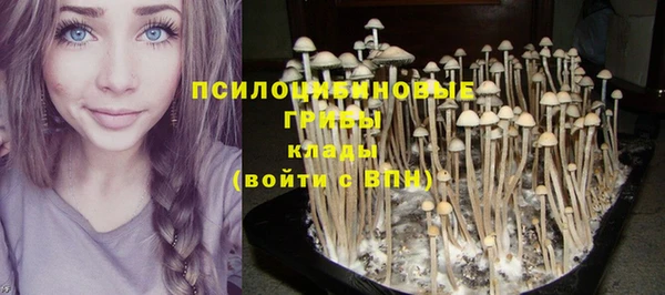спайс Зерноград