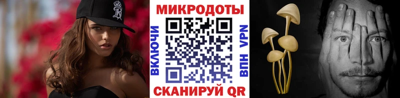 Псилоцибиновые грибы Psilocybe  где купить наркоту  omg ONION  Карачаевск 